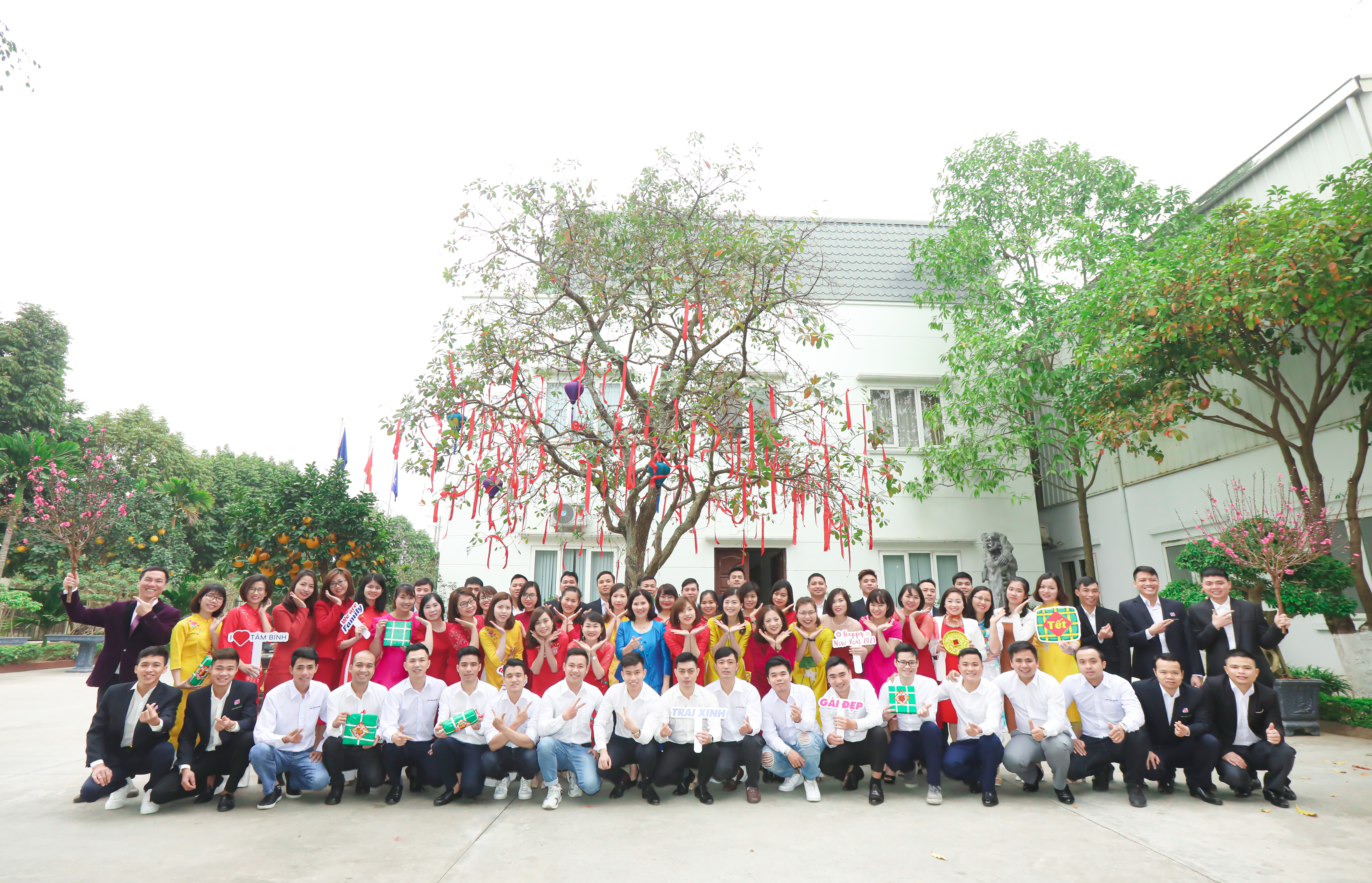 lĩnh vực hoạt động