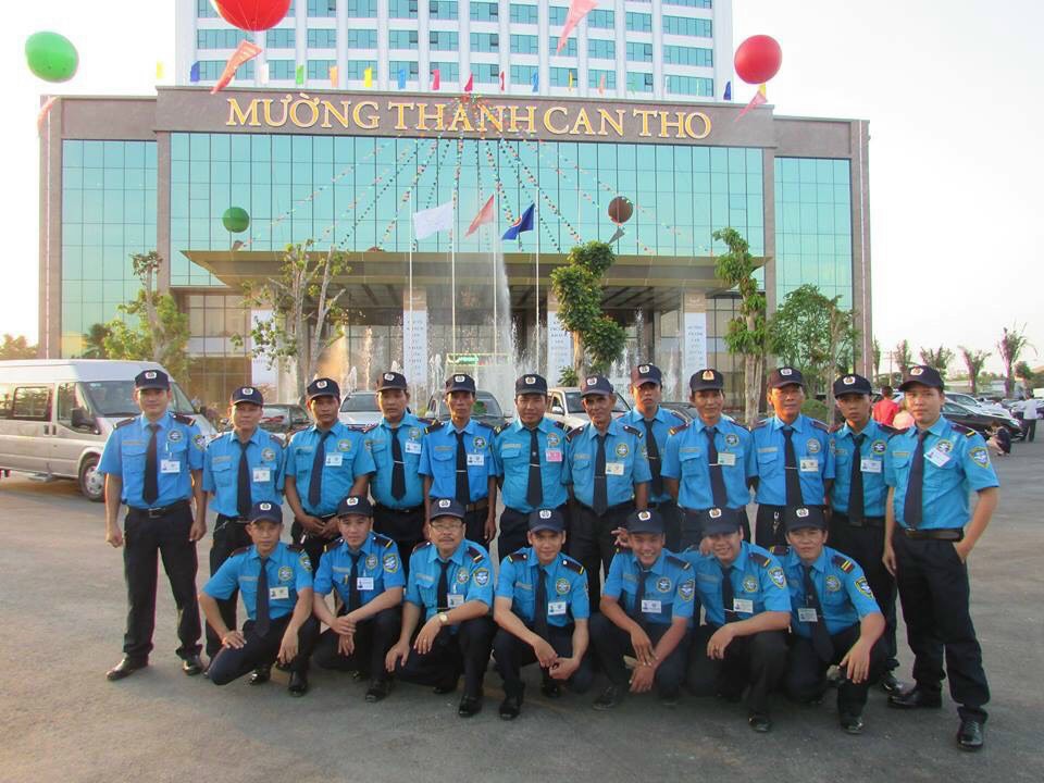 lĩnh vực hoạt động
