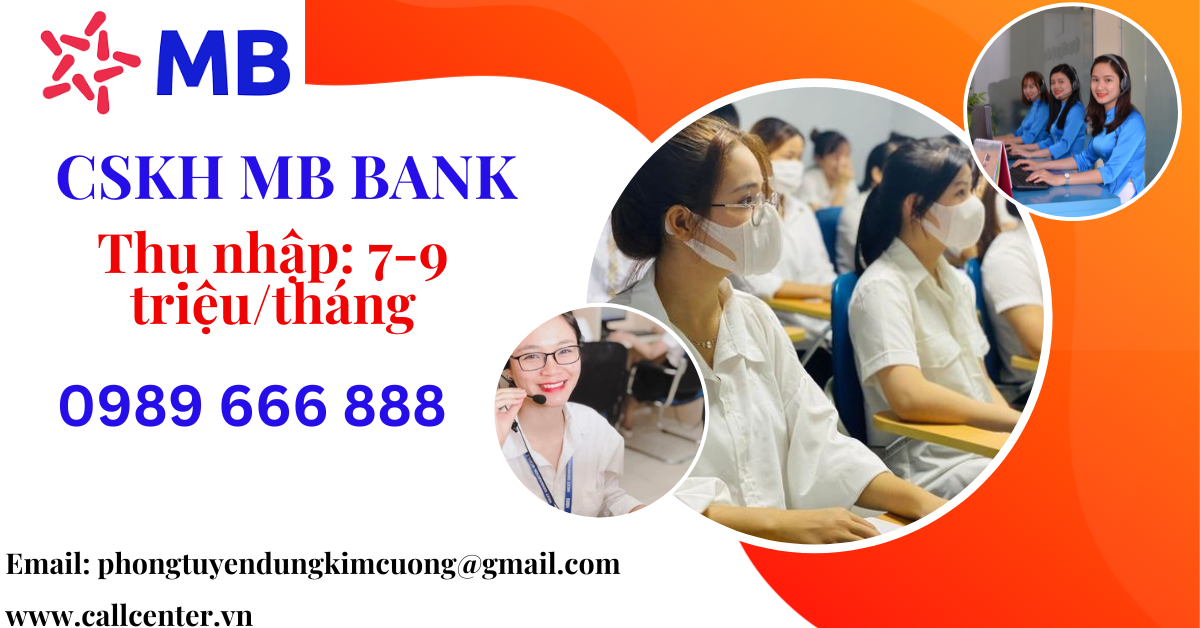 lĩnh vực hoạt động