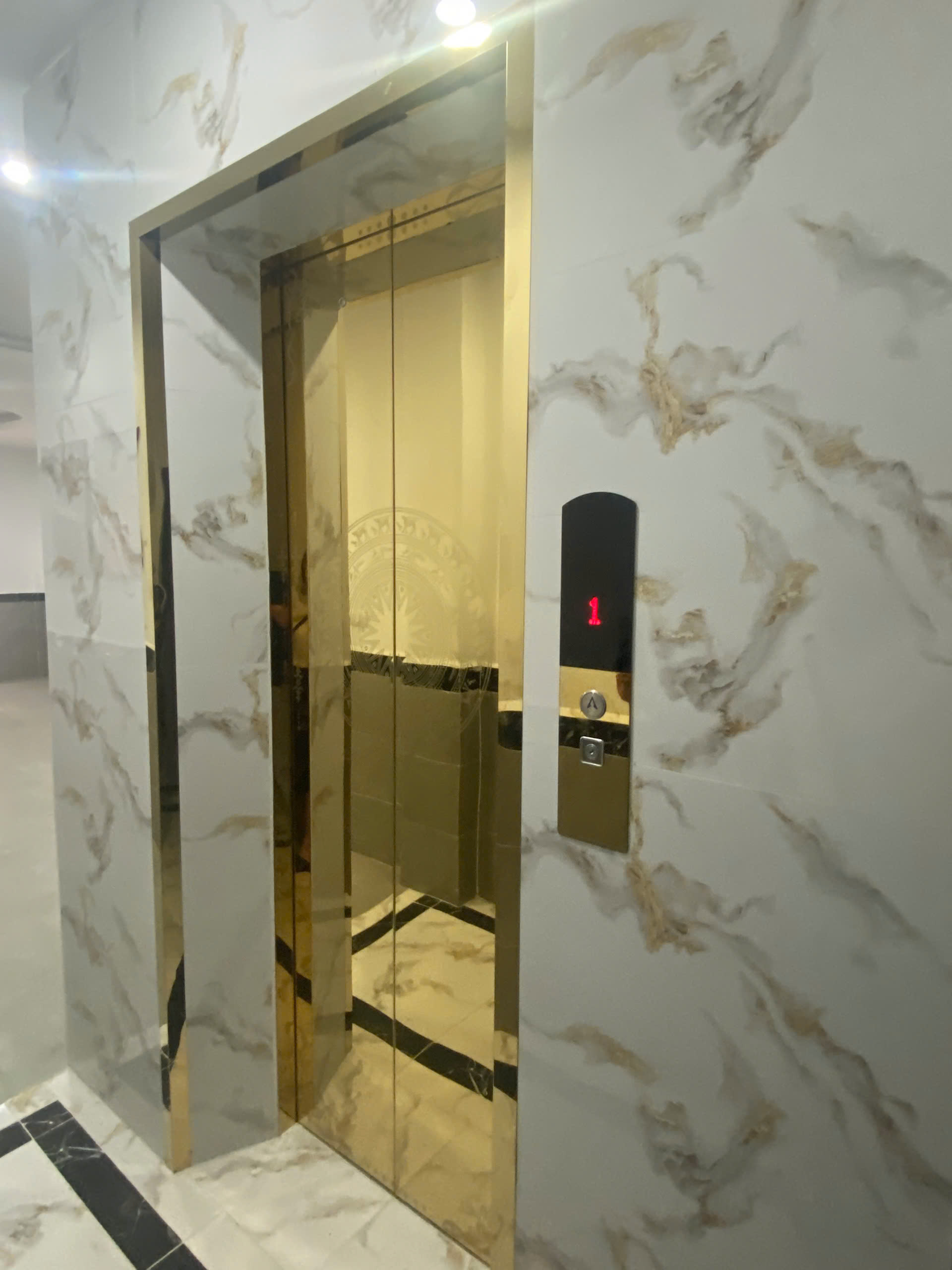 lĩnh vực hoạt động