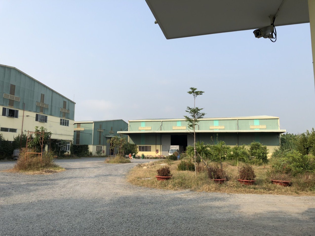 lĩnh vực hoạt động