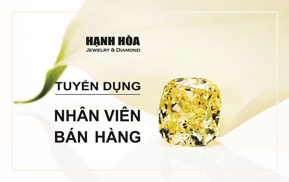 lĩnh vực hoạt động
