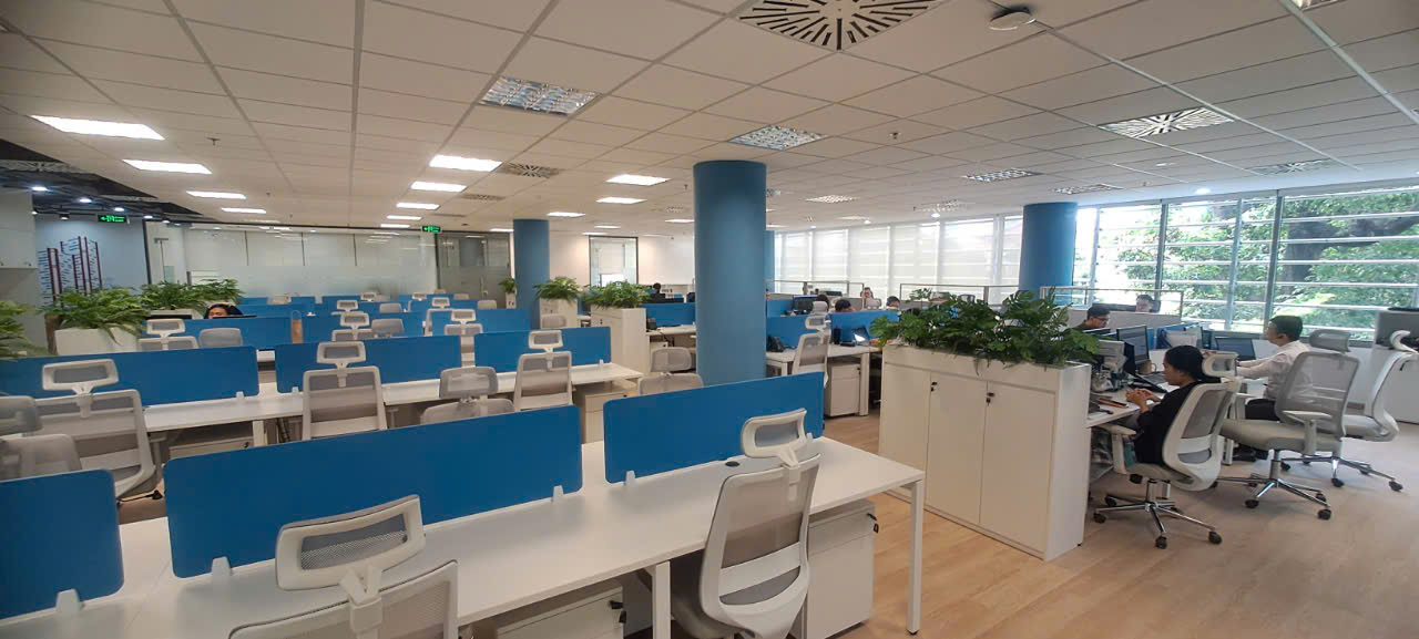 lĩnh vực hoạt động