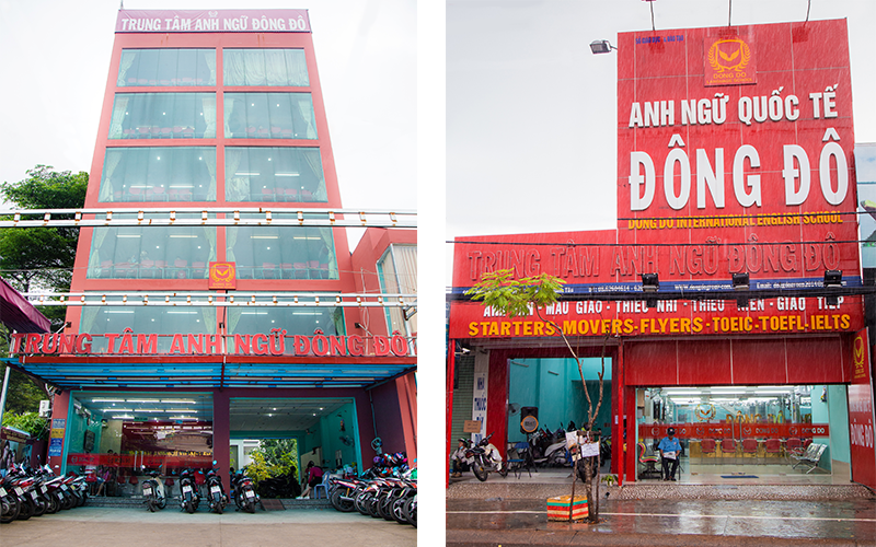 lĩnh vực hoạt động