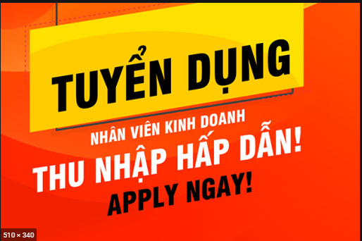 lĩnh vực hoạt động