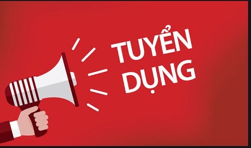 lĩnh vực hoạt động