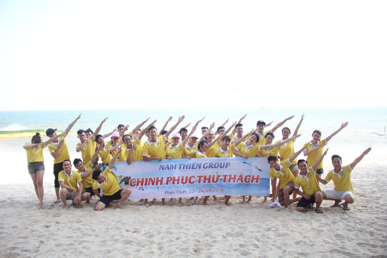 lĩnh vực hoạt động