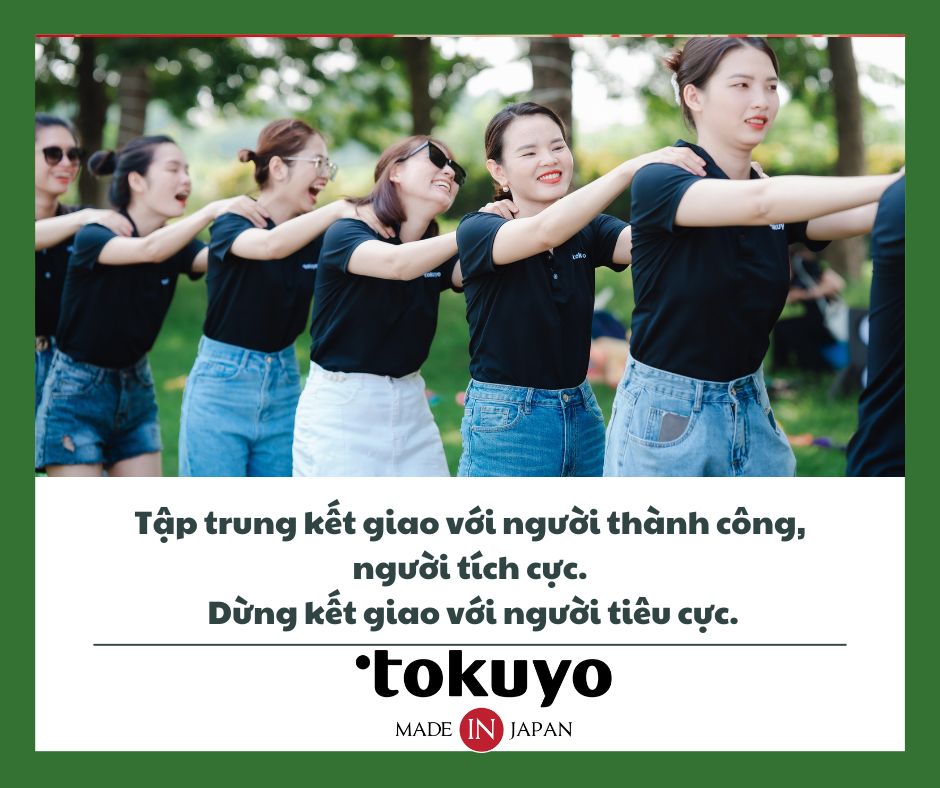 lĩnh vực hoạt động