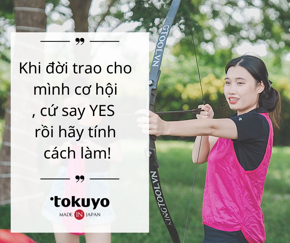 lĩnh vực hoạt động