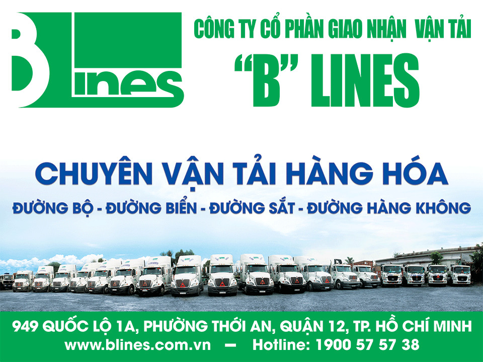 lĩnh vực hoạt động