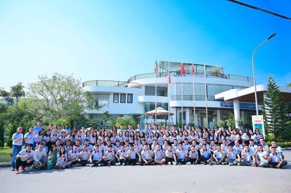 lĩnh vực hoạt động