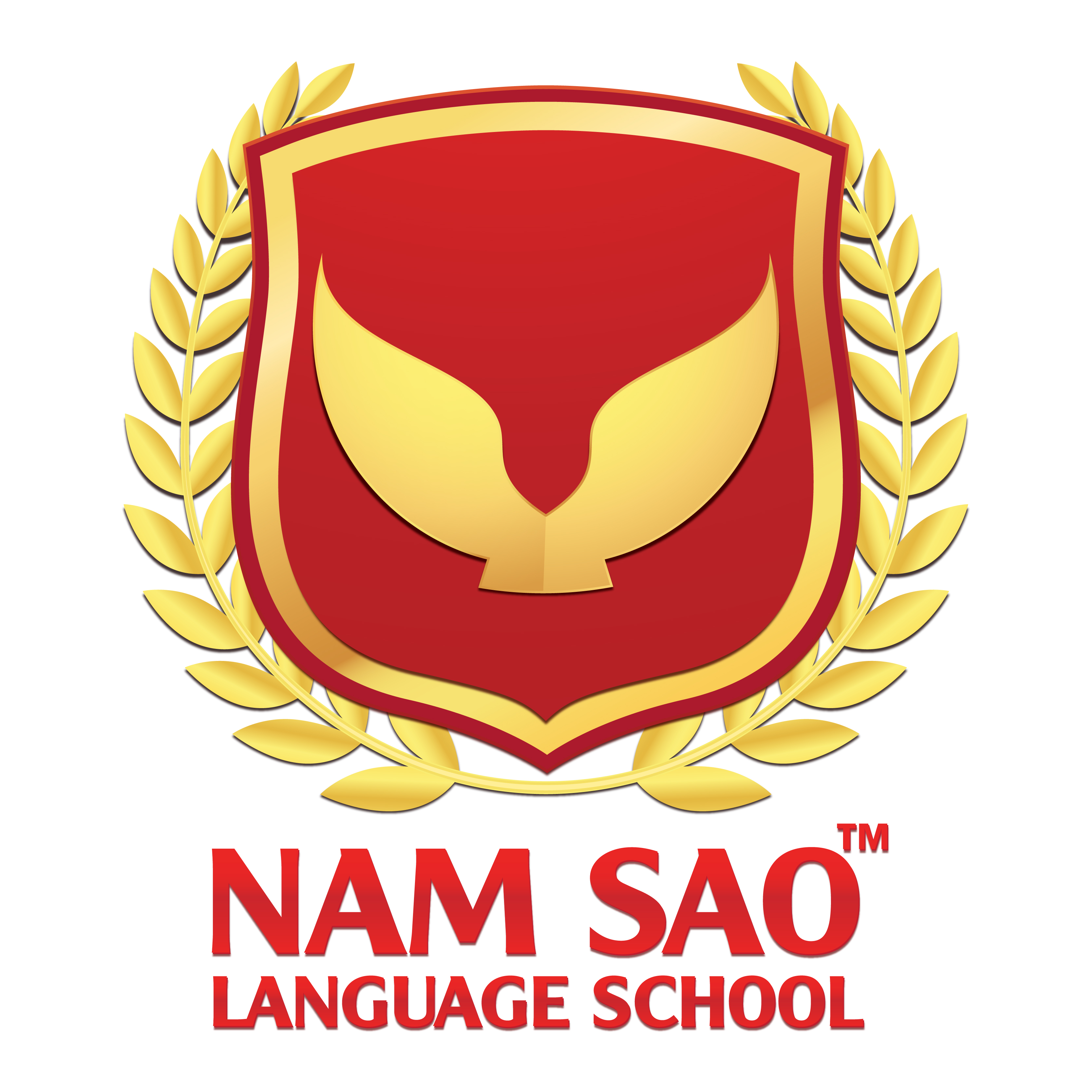 lĩnh vực hoạt động