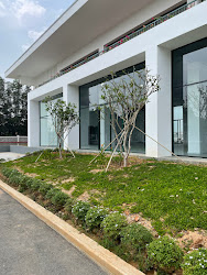 lĩnh vực hoạt động