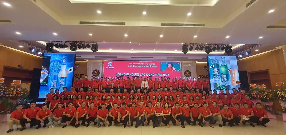 lĩnh vực hoạt động