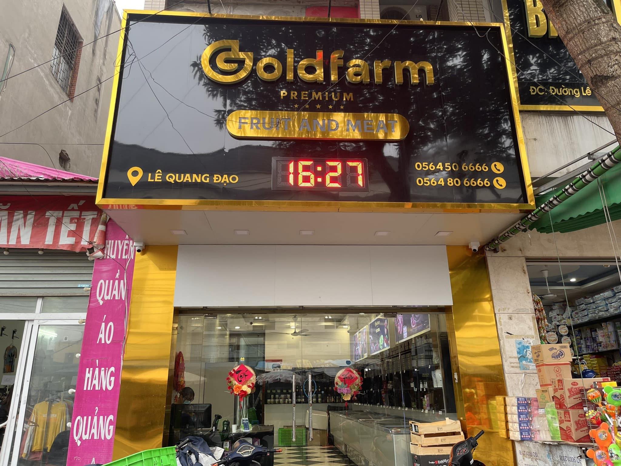 lĩnh vực hoạt động
