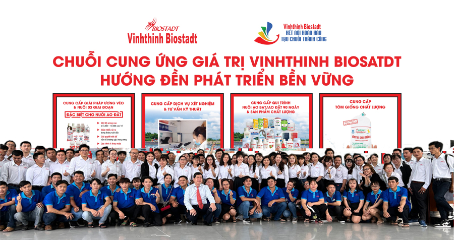 lĩnh vực hoạt động