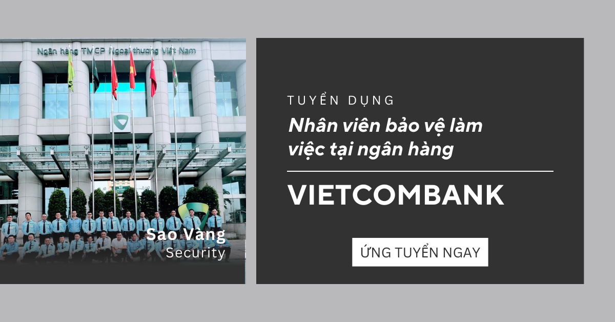 lĩnh vực hoạt động
