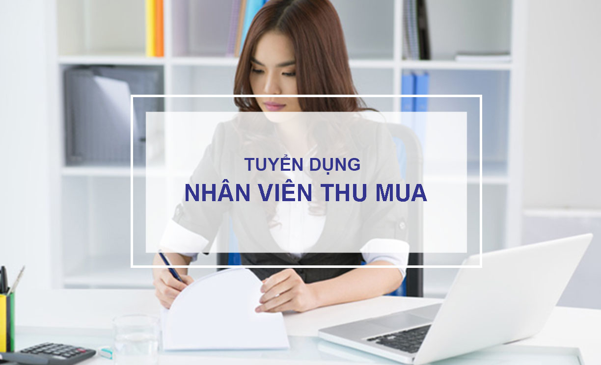 lĩnh vực hoạt động
