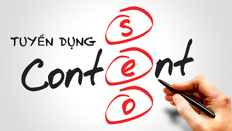 lĩnh vực hoạt động