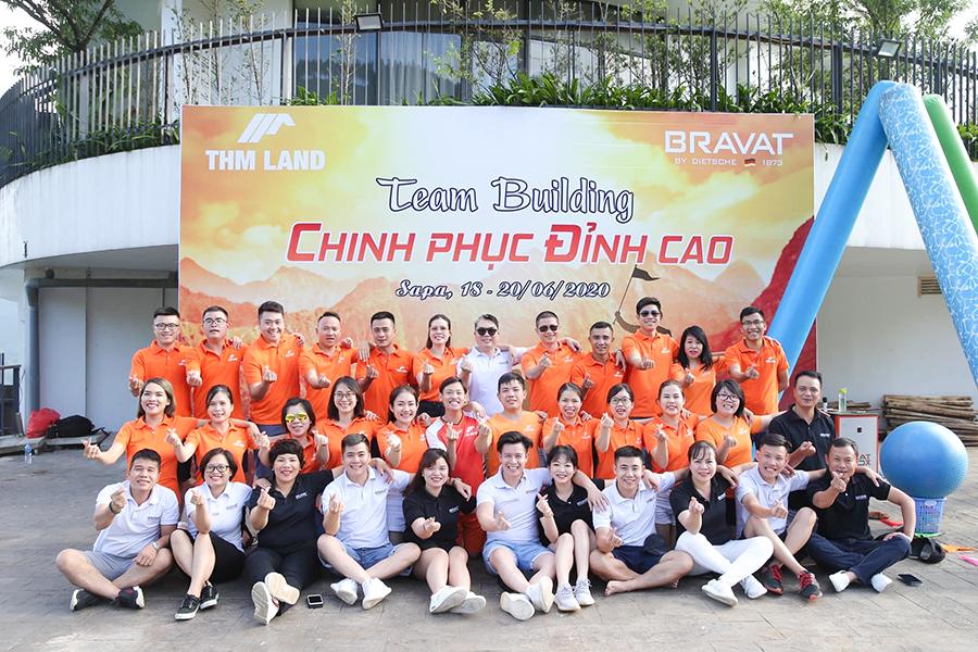 lĩnh vực hoạt động