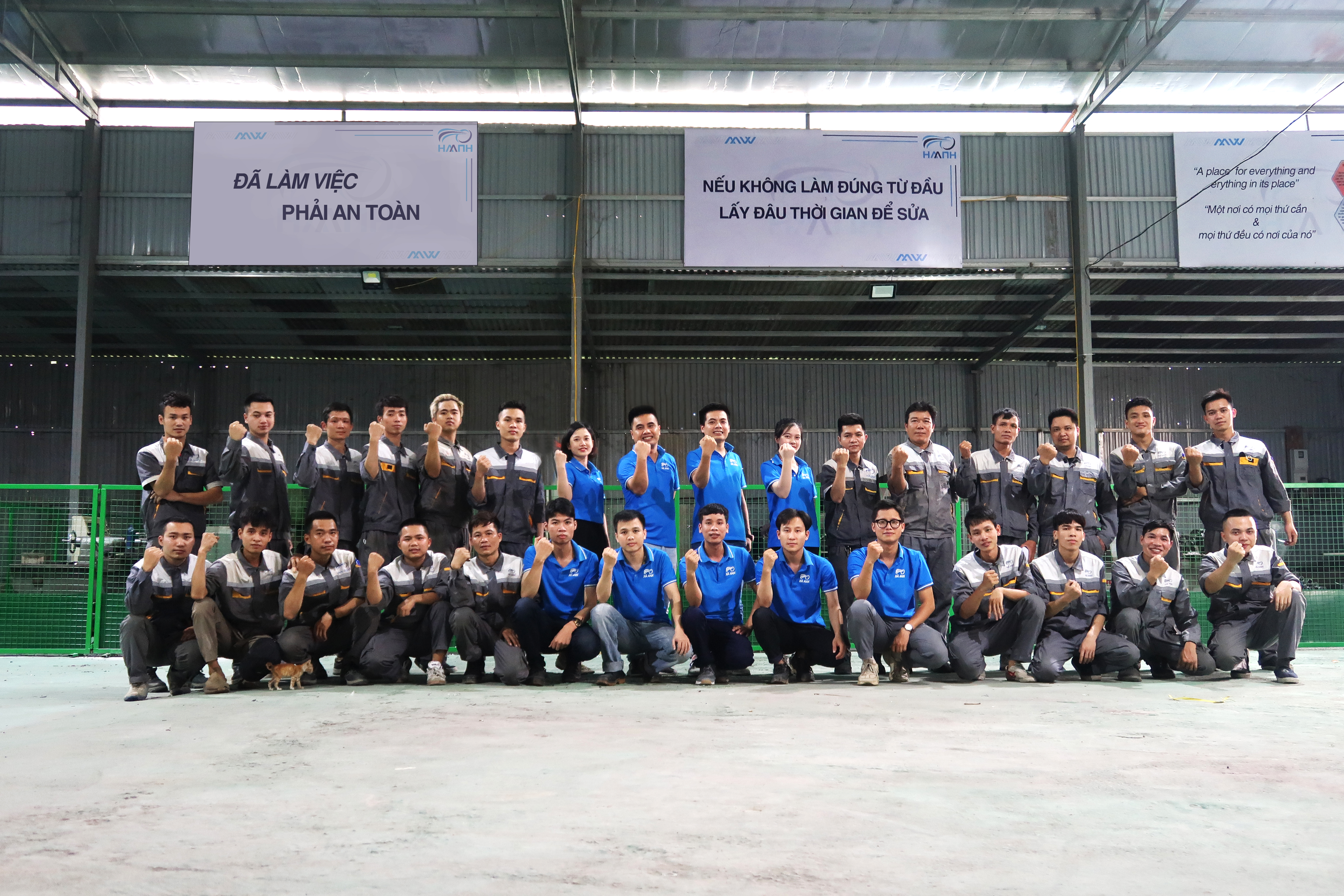 lĩnh vực hoạt động