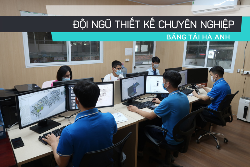 lĩnh vực hoạt động