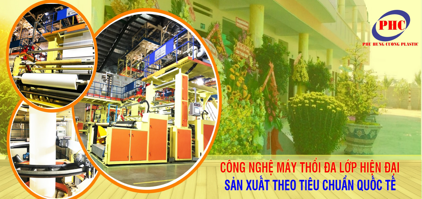 lĩnh vực hoạt động