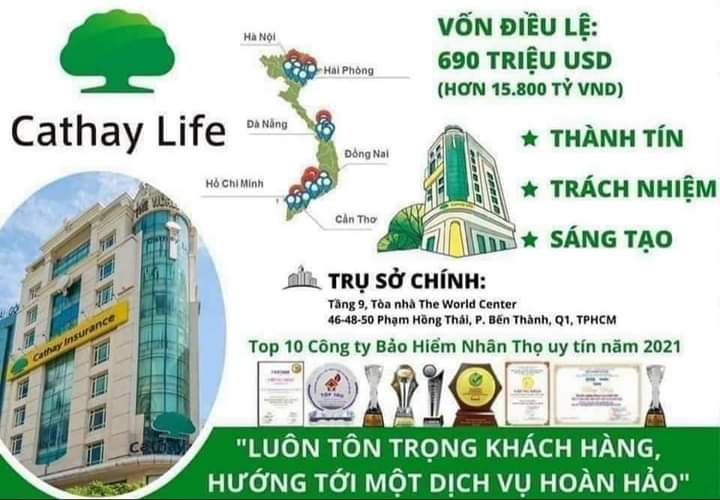 lĩnh vực hoạt động