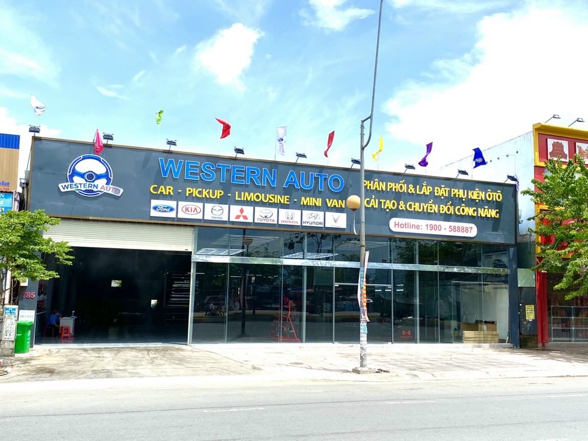 lĩnh vực hoạt động