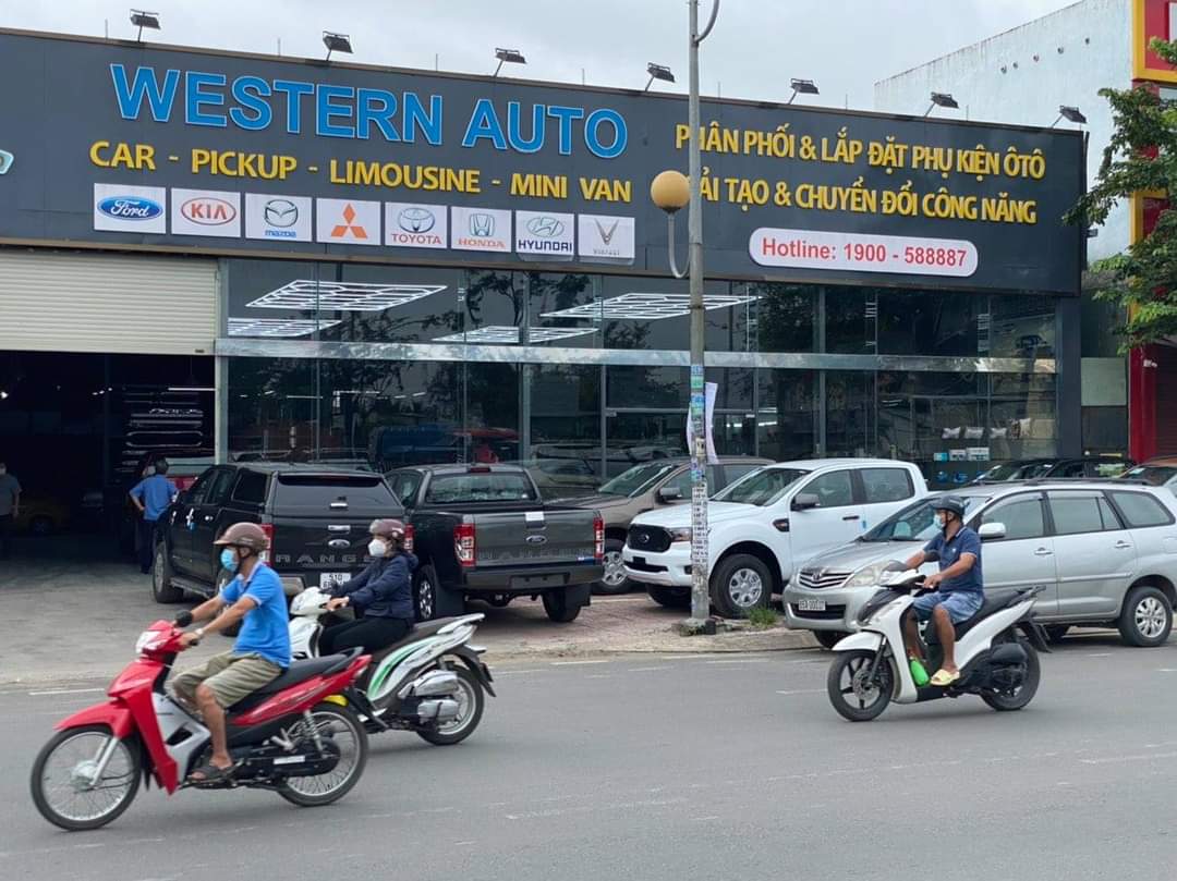 lĩnh vực hoạt động