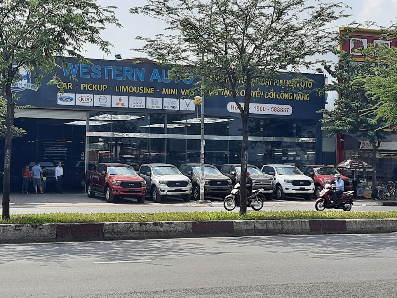 lĩnh vực hoạt động