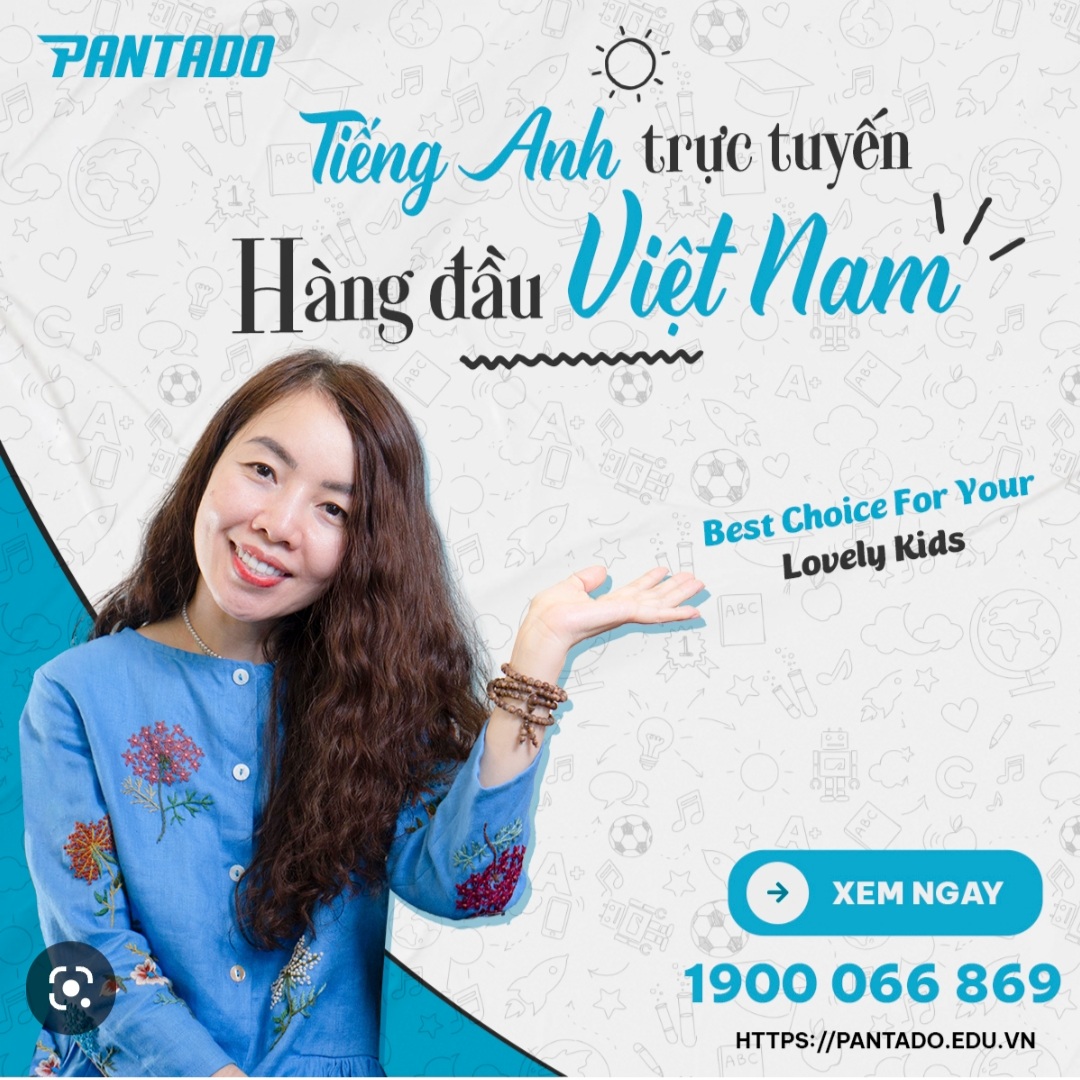 lĩnh vực hoạt động