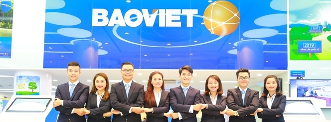 lĩnh vực hoạt động