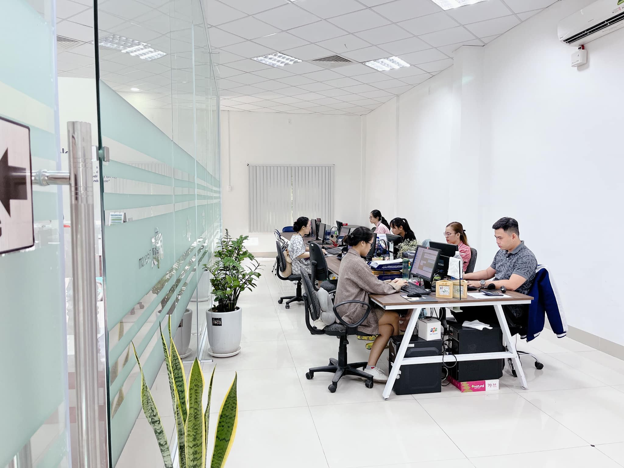 lĩnh vực hoạt động