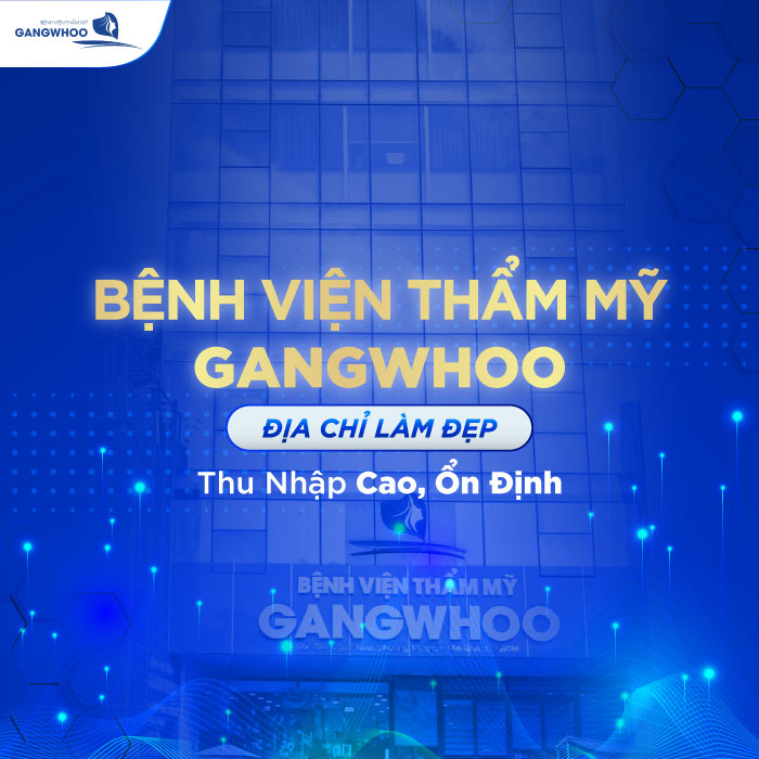 lĩnh vực hoạt động