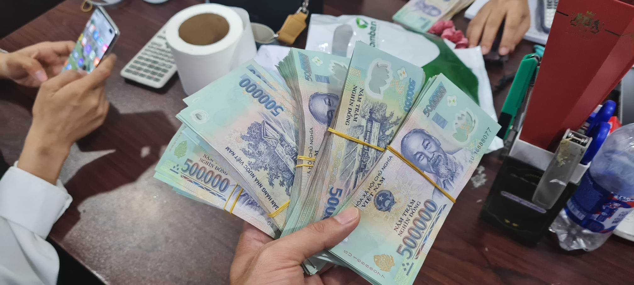lĩnh vực hoạt động