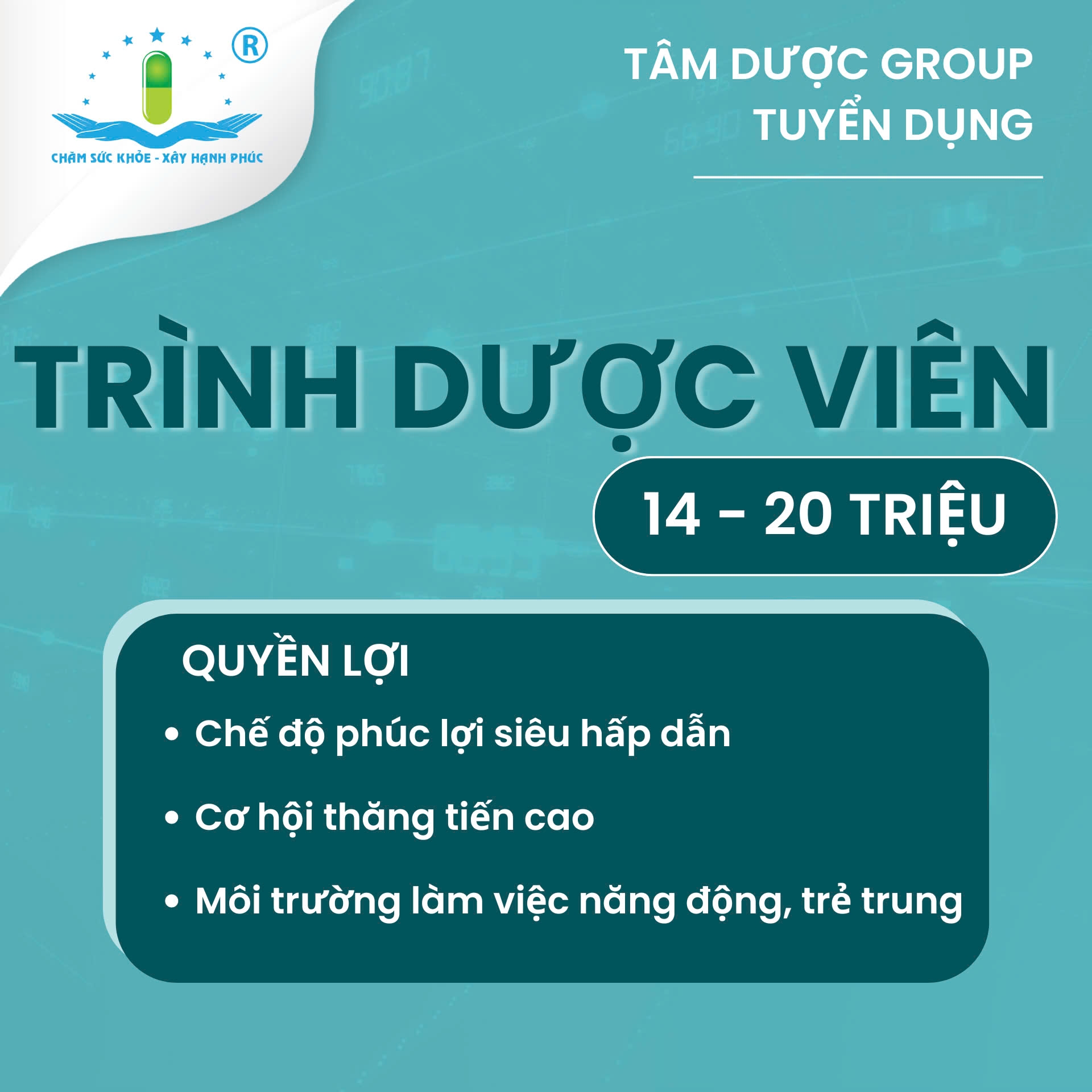lĩnh vực hoạt động