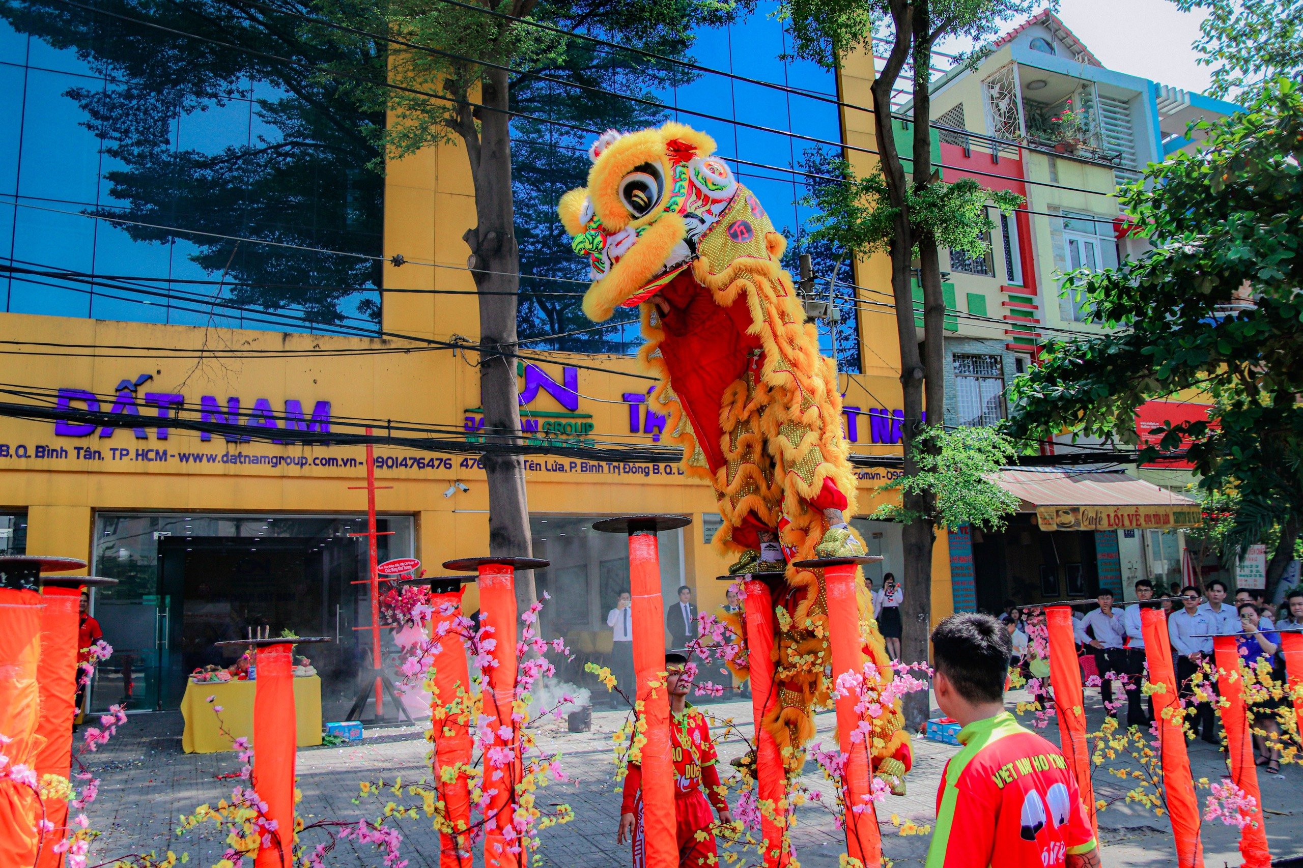 lĩnh vực hoạt động
