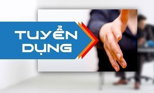 lĩnh vực hoạt động