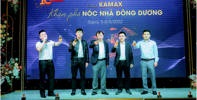lĩnh vực hoạt động