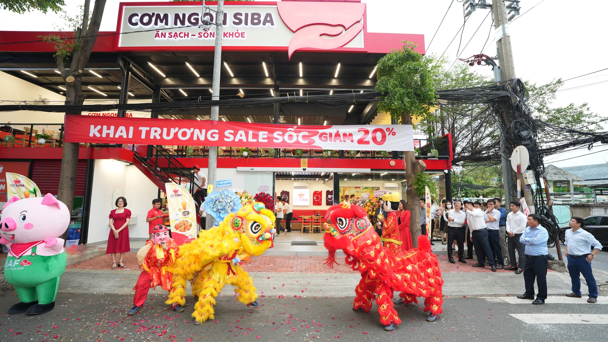 lĩnh vực hoạt động