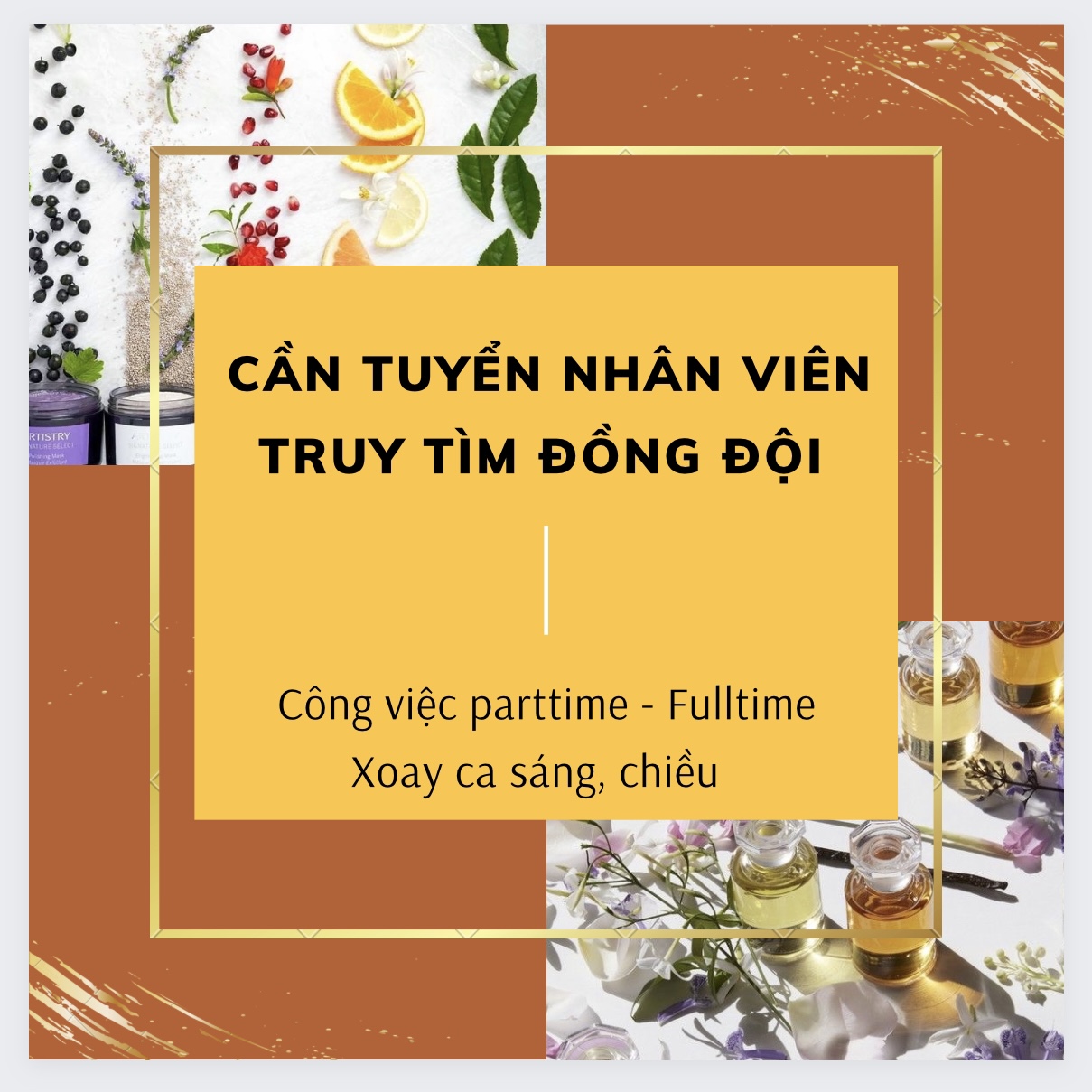 lĩnh vực hoạt động