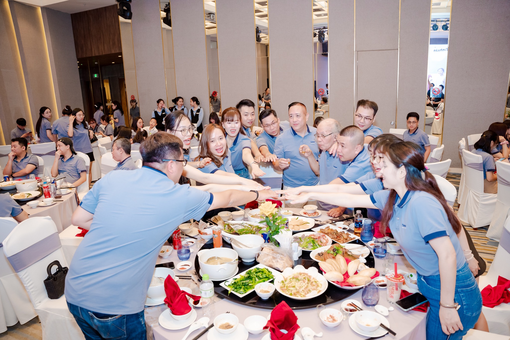 lĩnh vực hoạt động