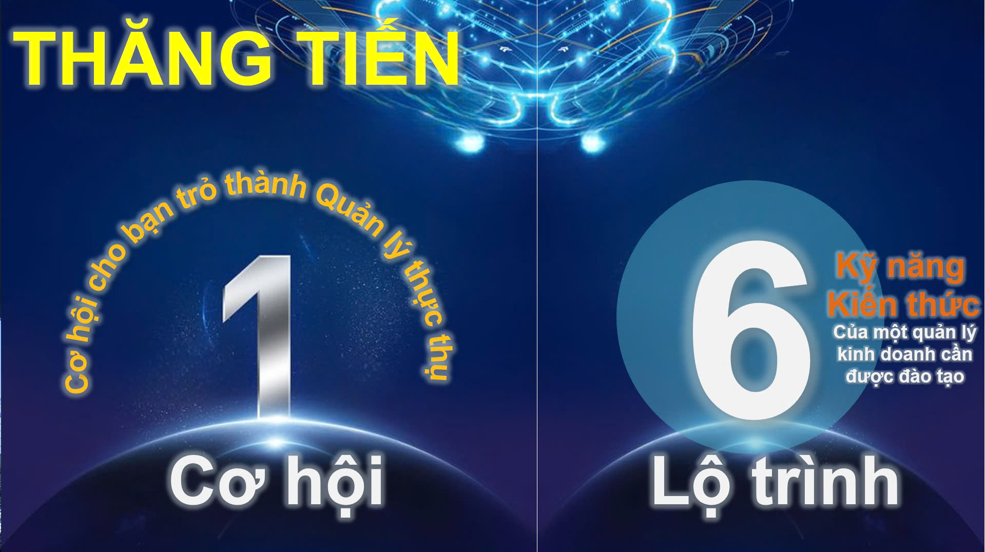 lĩnh vực hoạt động