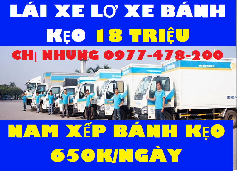 lĩnh vực hoạt động
