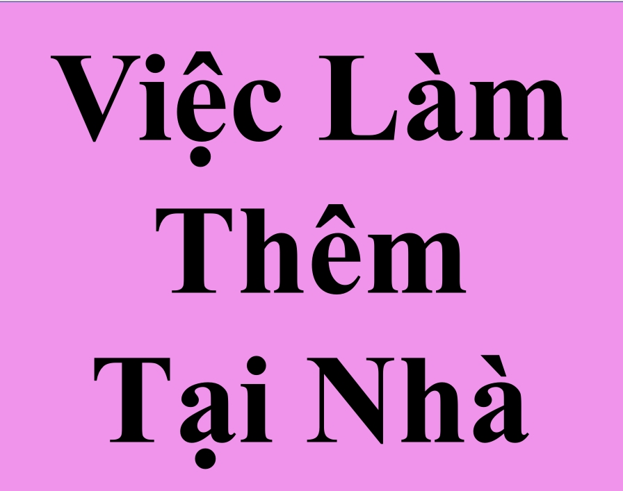 lĩnh vực hoạt động