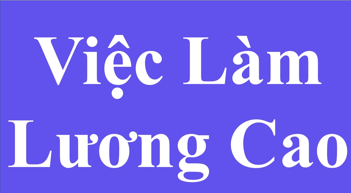 lĩnh vực hoạt động