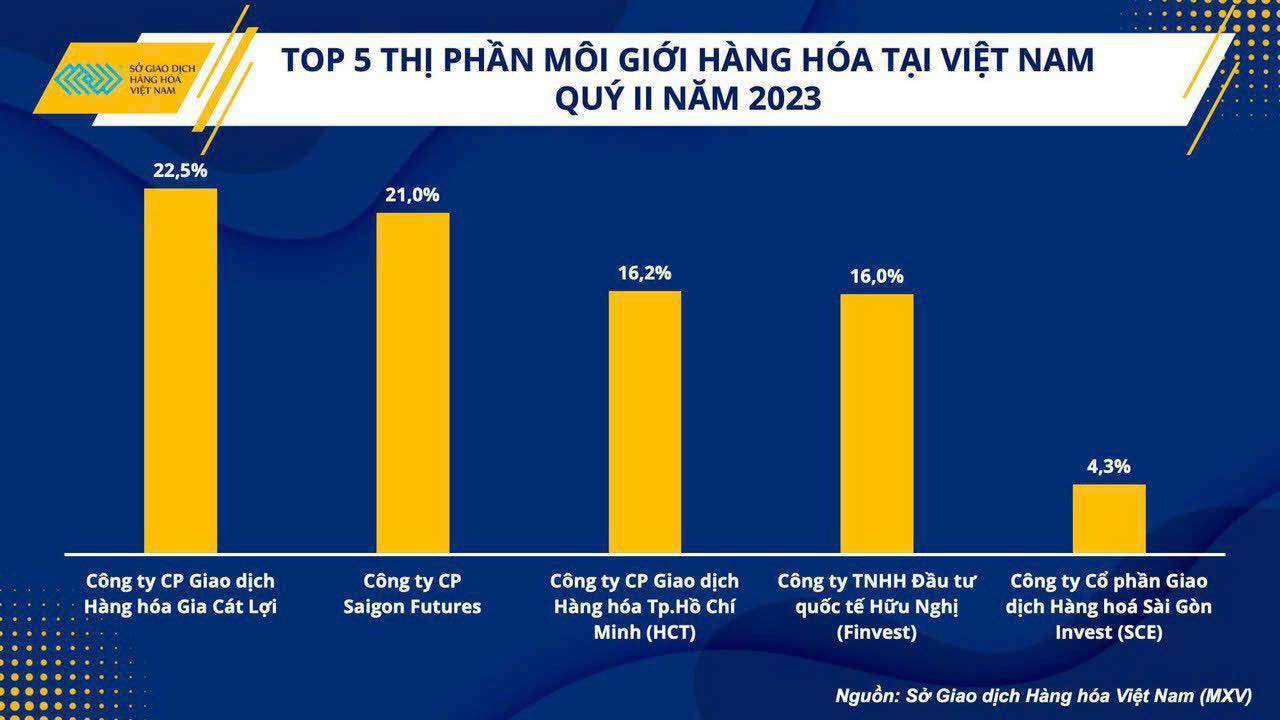 lĩnh vực hoạt động