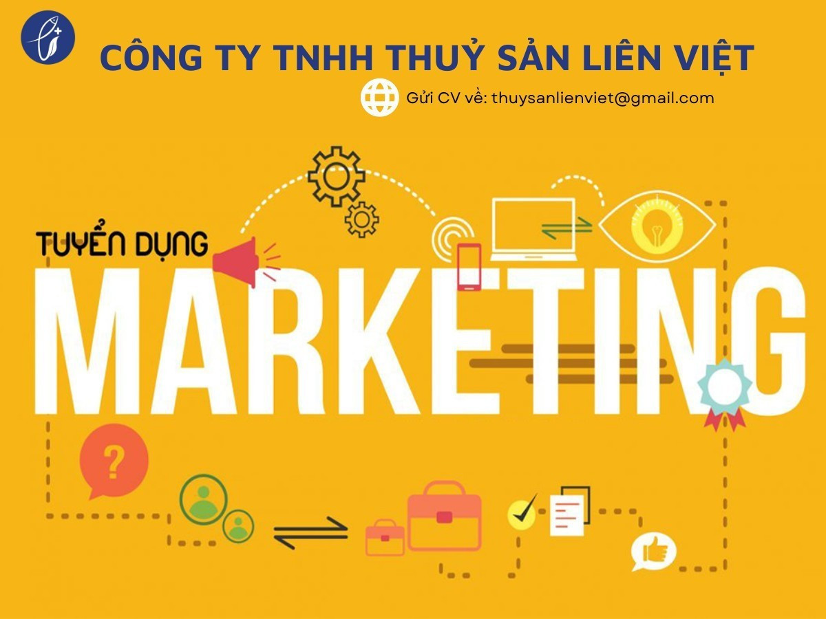 lĩnh vực hoạt động
