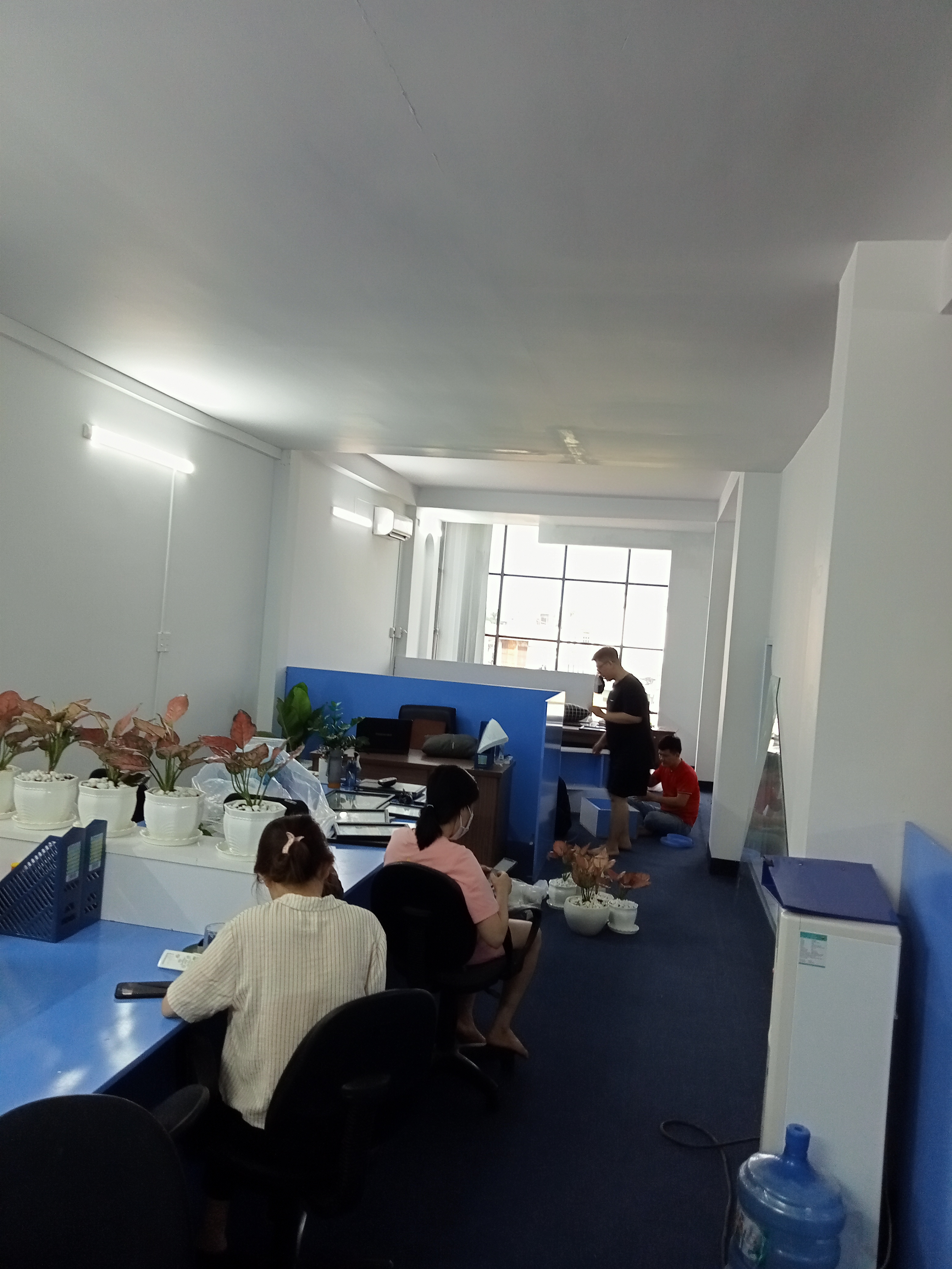 lĩnh vực hoạt động
